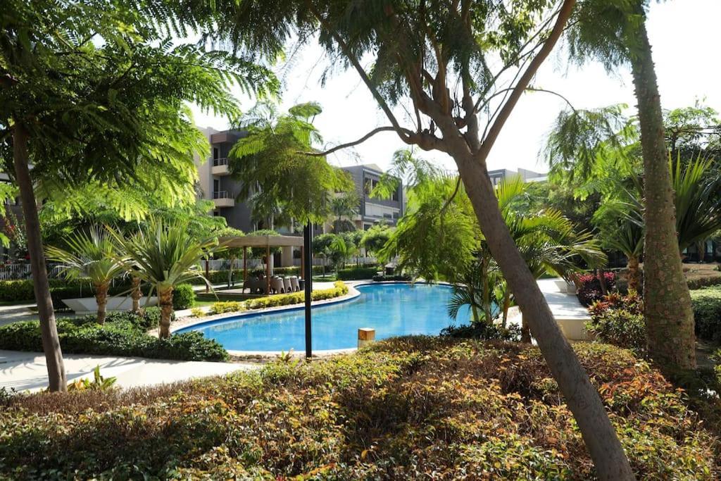 Fantastic Apartment Cairo